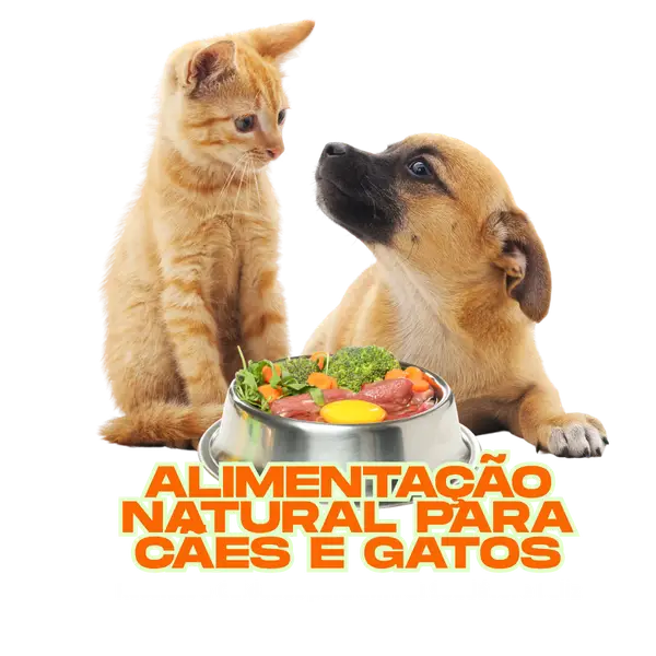 Product Logo