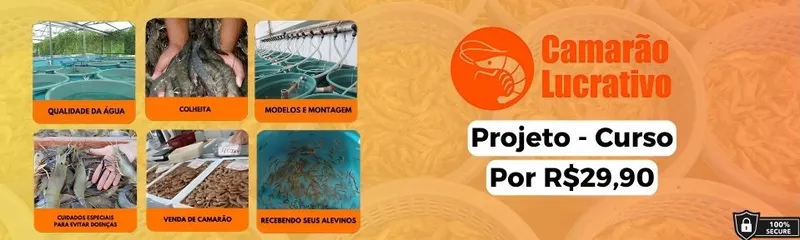 Product Banner
