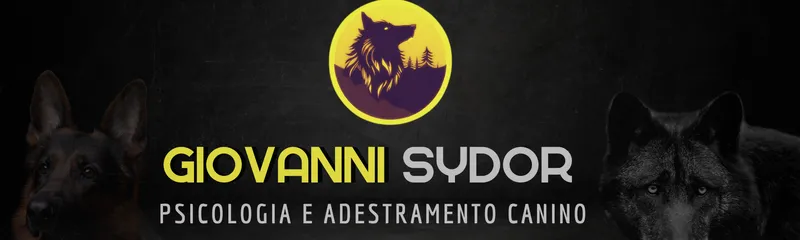 Product Banner